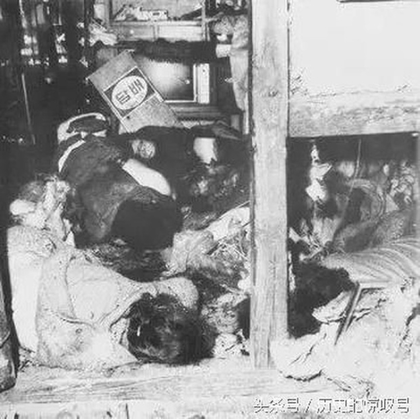 Cop Killer Woo Beom-gon: How South Korea's Bloodiest Massacre Happened Cop Killer Woo Beom-gon: How South Korea's Bloodiest Massacre Happened