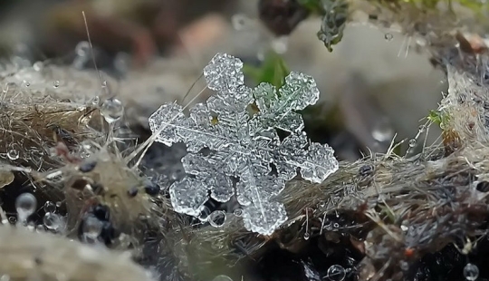 Copos de nieve del fotógrafo Andrey Osokin