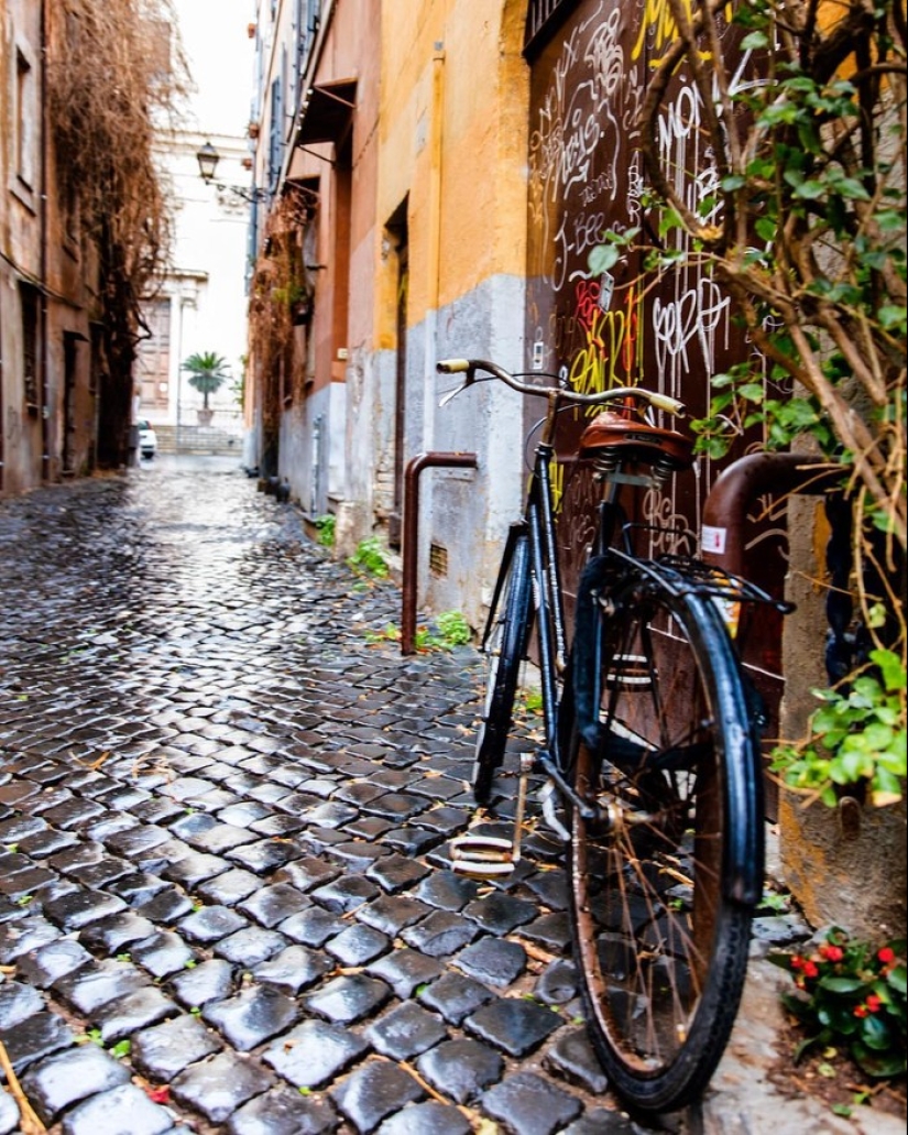 Cuando el fotógrafo se va de vacaciones