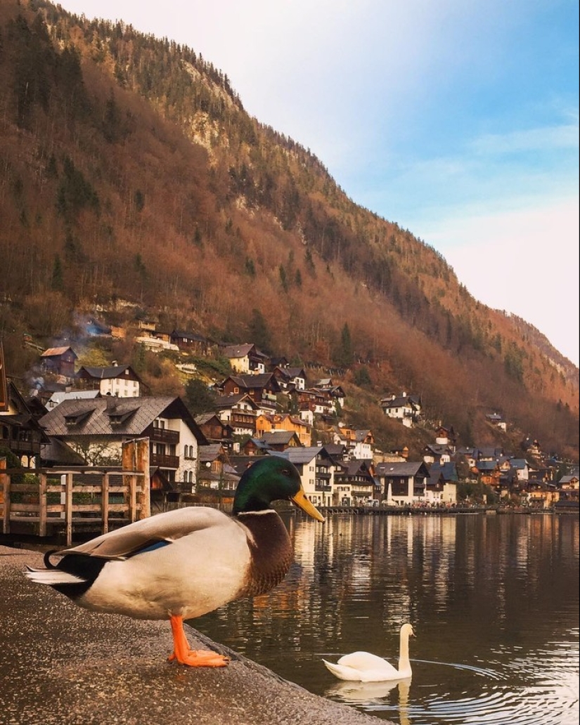 Cuando el fotógrafo se va de vacaciones
