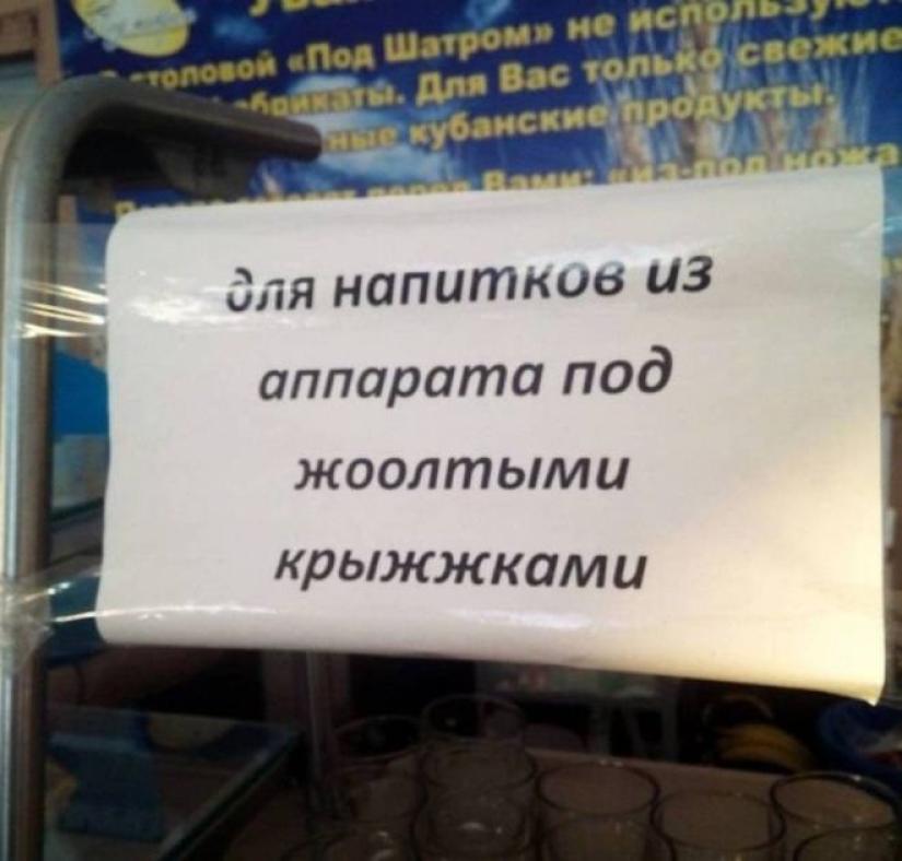 Cuando la generación del EGO encontró un trabajo: 22 ashipki que solo enfurecen Cuando la generación del EGO encontró un trabajo: 22 ashipki que solo enfurecen