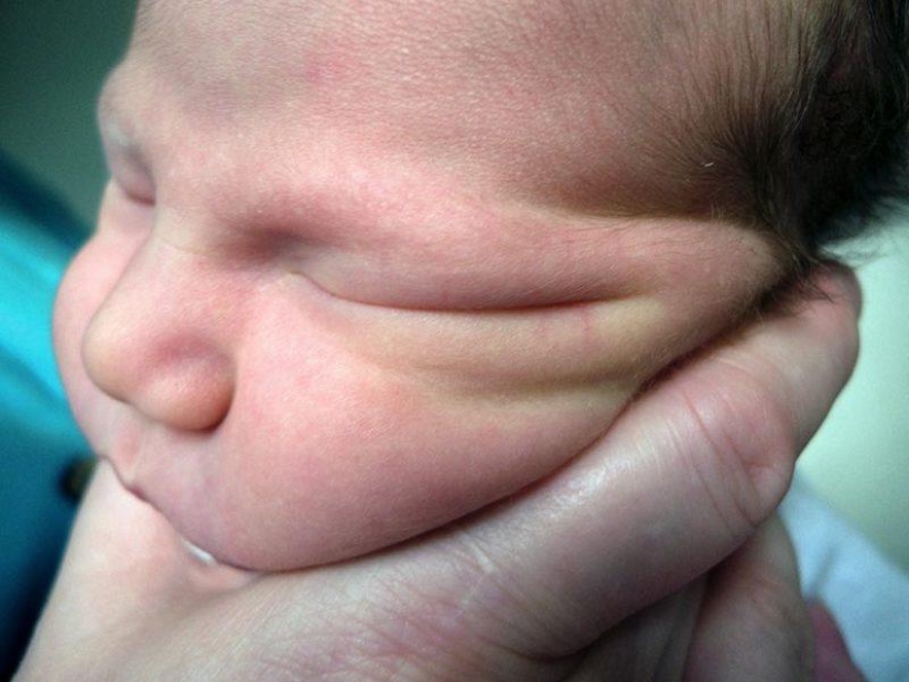 "Cuando nació Lulú, mi esposa Carla desapareció": cómo se desarrollan los sentimientos paternales "Cuando nació Lulú, mi esposa Carla desapareció": cómo se desarrollan los sentimientos paternales