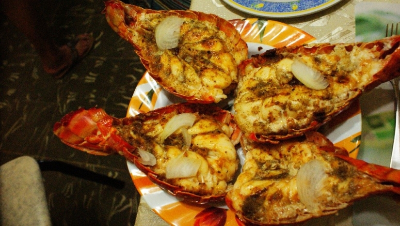 Cuando realmente quieres ir a Australia