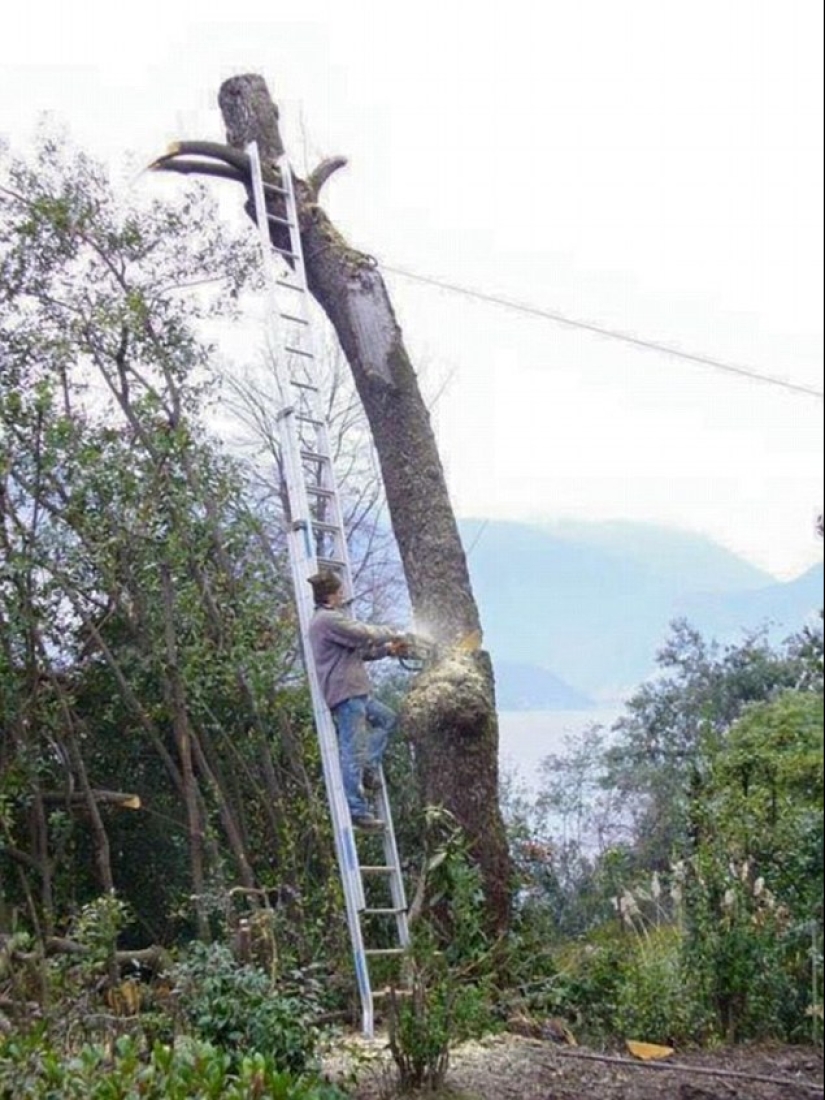 Cuidado, idiotas en el trabajo, o ¿cómo siguen vivos? Cuidado, idiotas en el trabajo, o ¿cómo siguen vivos?
