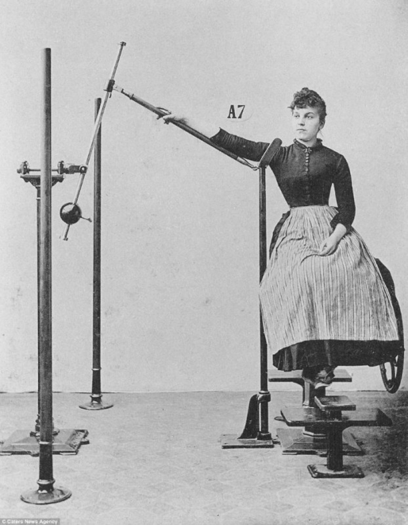 ¿Cuáles fueron los progenitores de los simuladores deportivos modernos? ¿Cuáles fueron los progenitores de los simuladores deportivos modernos?