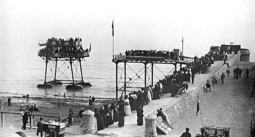 "Daddy Long Legs" - the strangest transport of the Victorian era