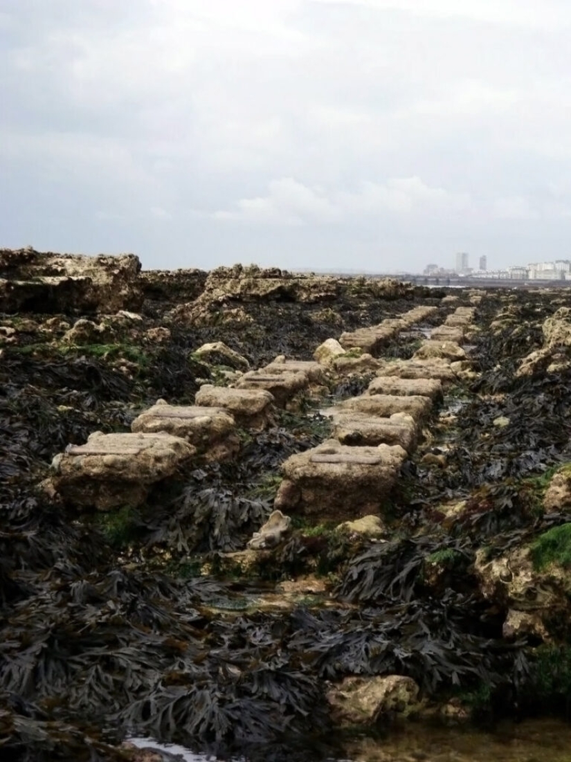 "Daddy Long Legs" - the strangest transport of the Victorian era