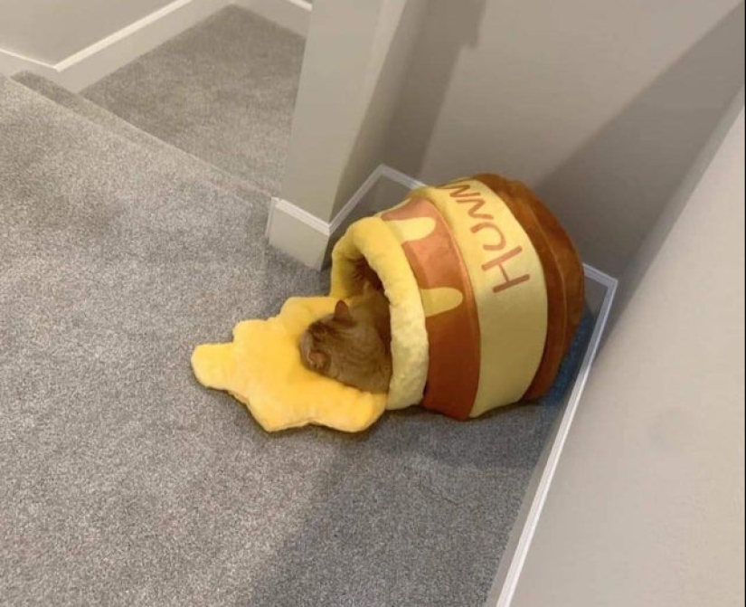 "Dame dos!"22 cosas extrañas y geniales que te dan ganas de poseerlas "Dame dos!"22 cosas extrañas y geniales que te dan ganas de poseerlas