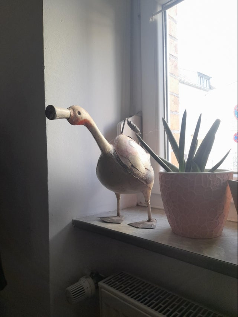 "Dame dos!"22 cosas extrañas y geniales que te dan ganas de poseerlas "Dame dos!"22 cosas extrañas y geniales que te dan ganas de poseerlas