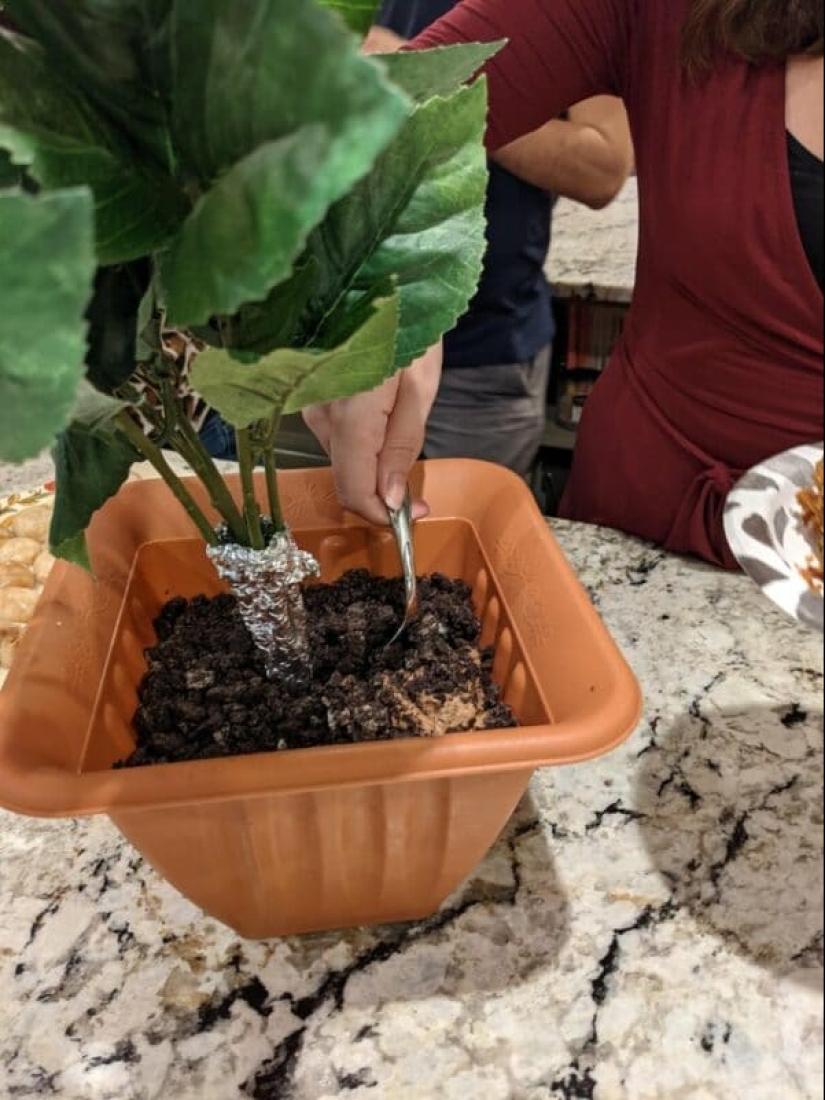 "¡Dame un plato!": 22 de los ejemplos más locos de servir platos "¡Dame un plato!": 22 de los ejemplos más locos de servir platos