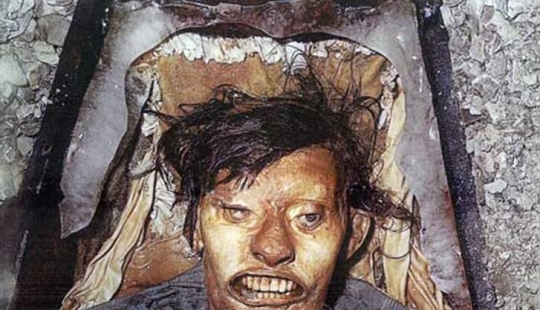 Datos interesantes sobre los camaleones