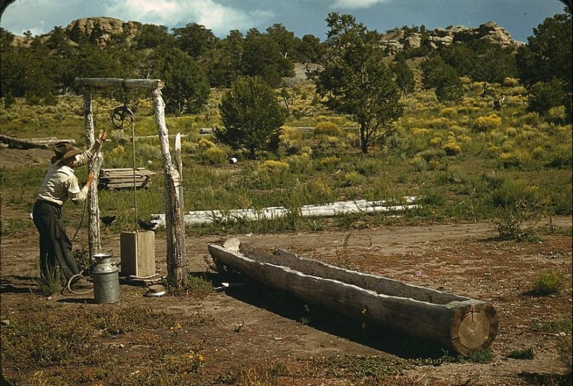 De caballos a "Vado": cómo el Salvaje Oeste fue "domesticado"