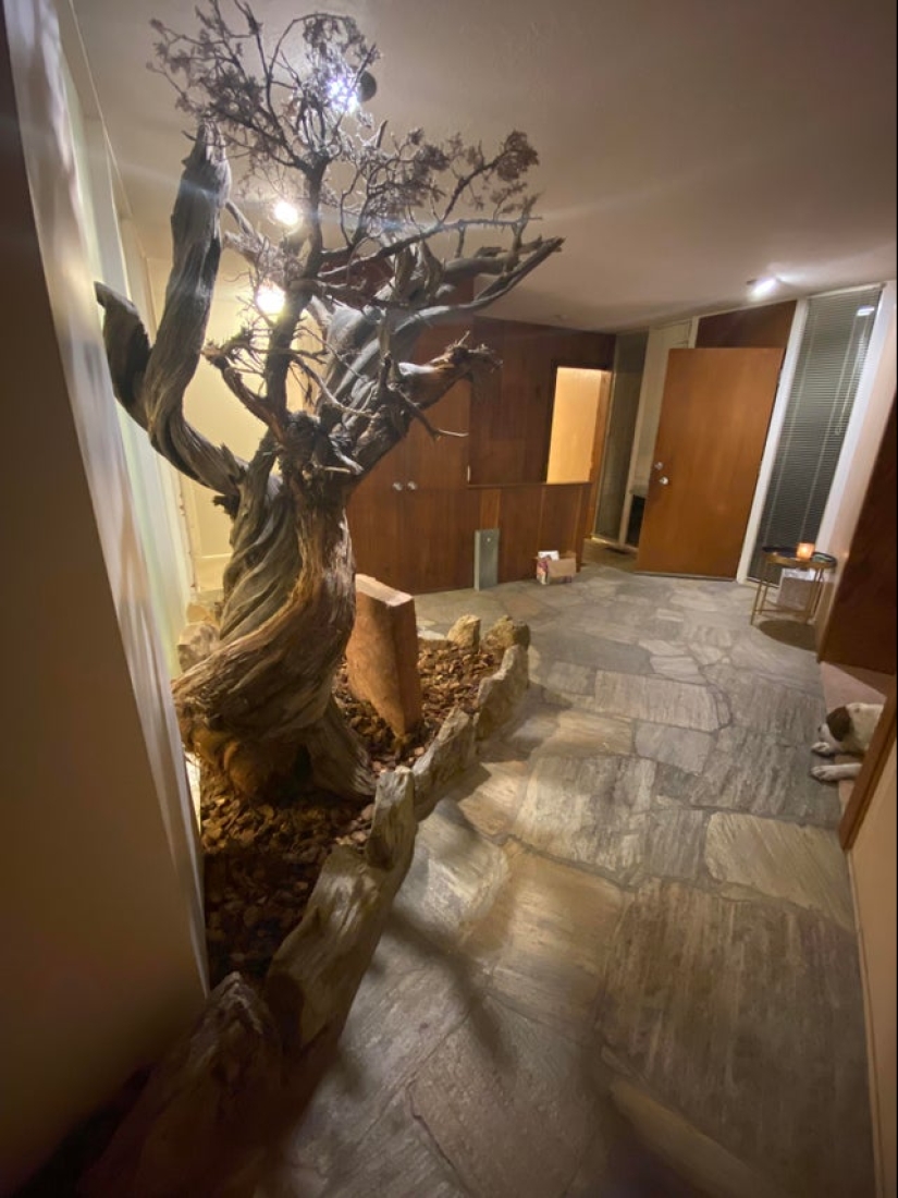 De la malaquita al billón de Zimbabue: 22 fotos asombrosas que no ves todos los días