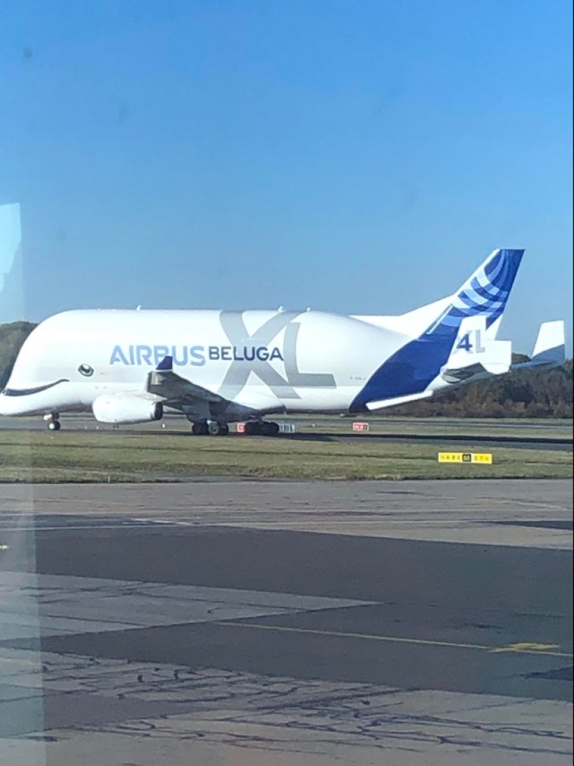 De la malaquita al billón de Zimbabue: 22 fotos asombrosas que no ves todos los días