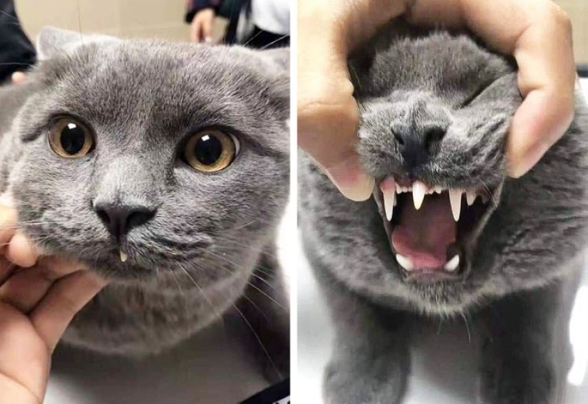 De la malaquita al billón de Zimbabue: 22 fotos asombrosas que no ves todos los días