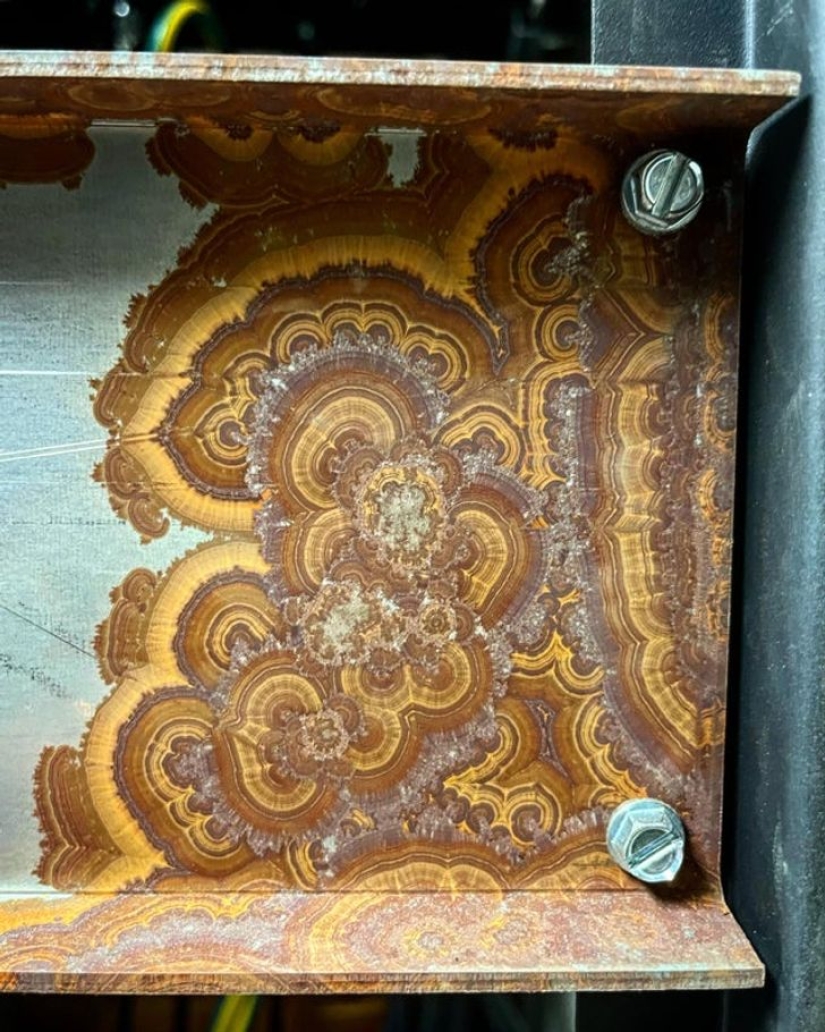 De la malaquita al billón de Zimbabue: 22 fotos asombrosas que no ves todos los días