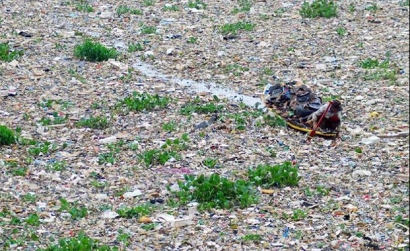 Dead water: what does Chitarum look like - the dirtiest river on the planet