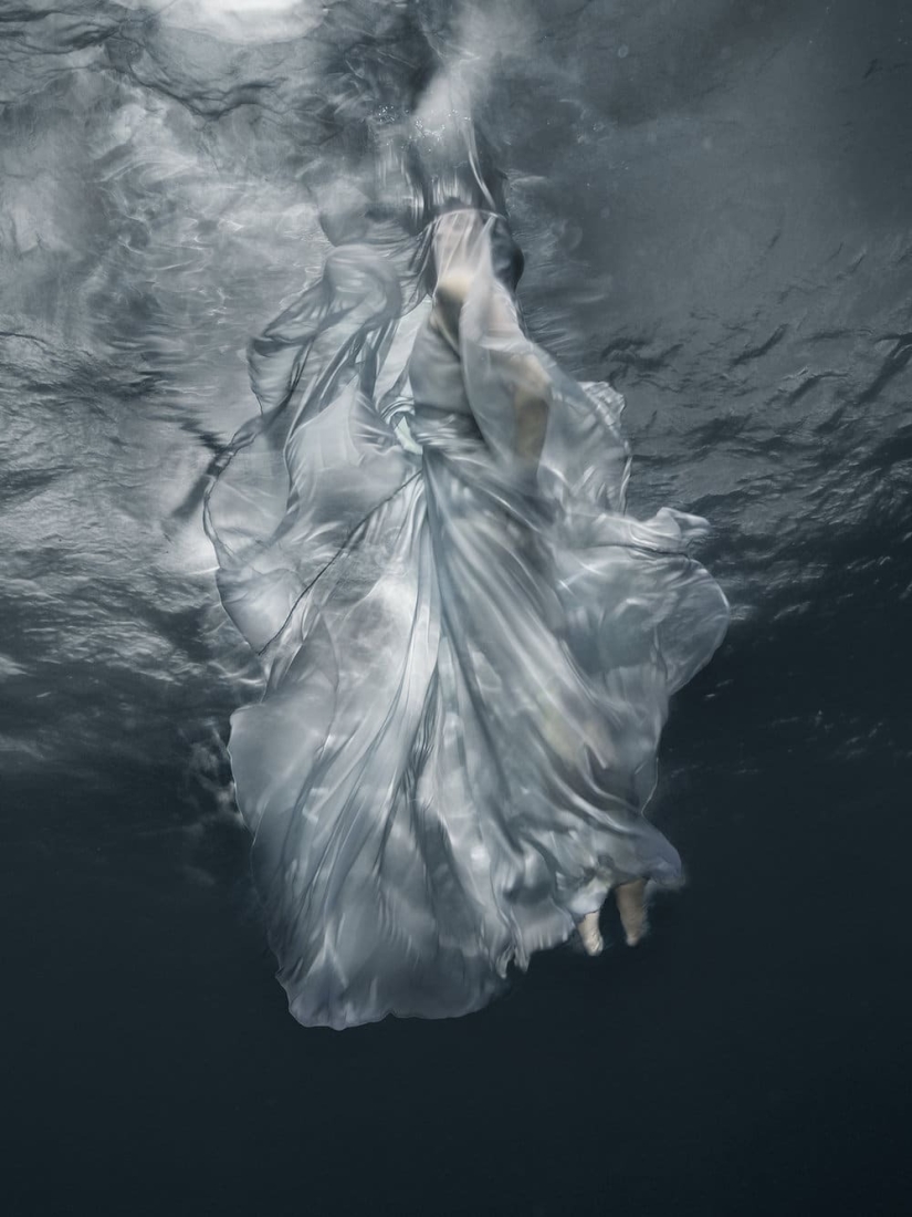 Deeper meaning: the amazing underwater photography of Barbara Cole