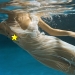 Deeper meaning: the amazing underwater photography of Barbara Cole