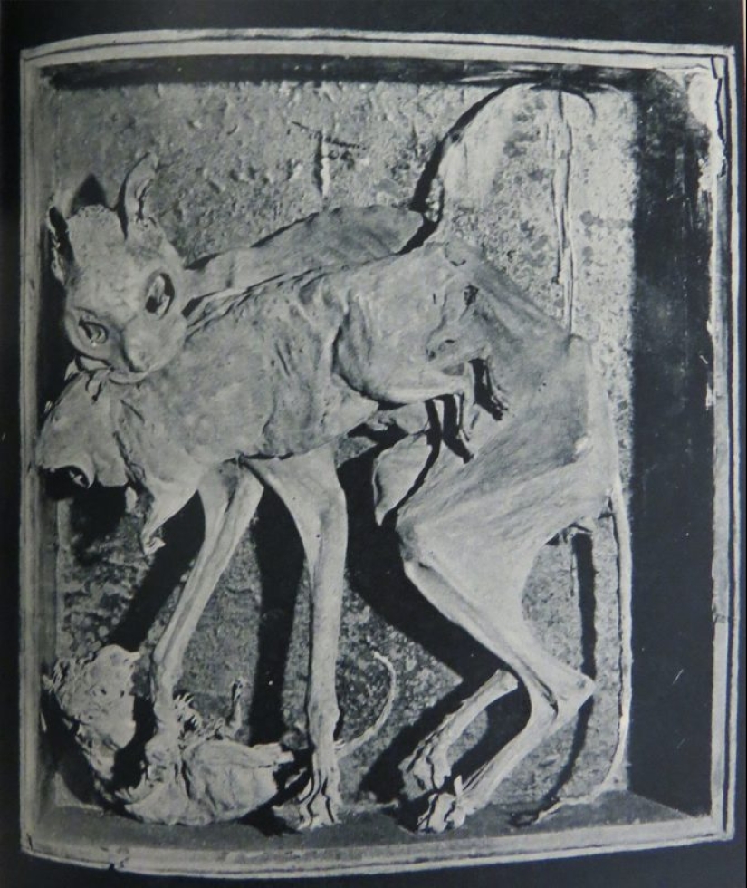 Del amor al odio: la historia de la difícil relación entre las personas y los gatos Del amor al odio: la historia de la difícil relación entre las personas y los gatos