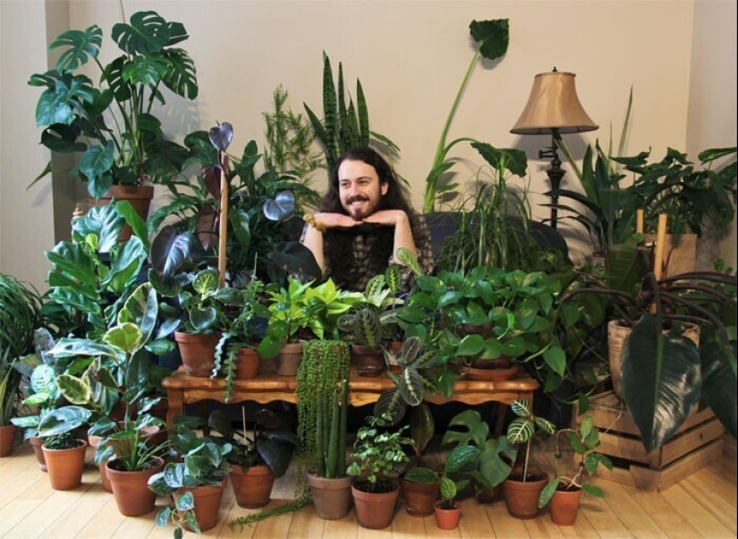 Deleite de los ojos: 22 hermosas fotos de plantas de interior Deleite de los ojos: 22 hermosas fotos de plantas de interior