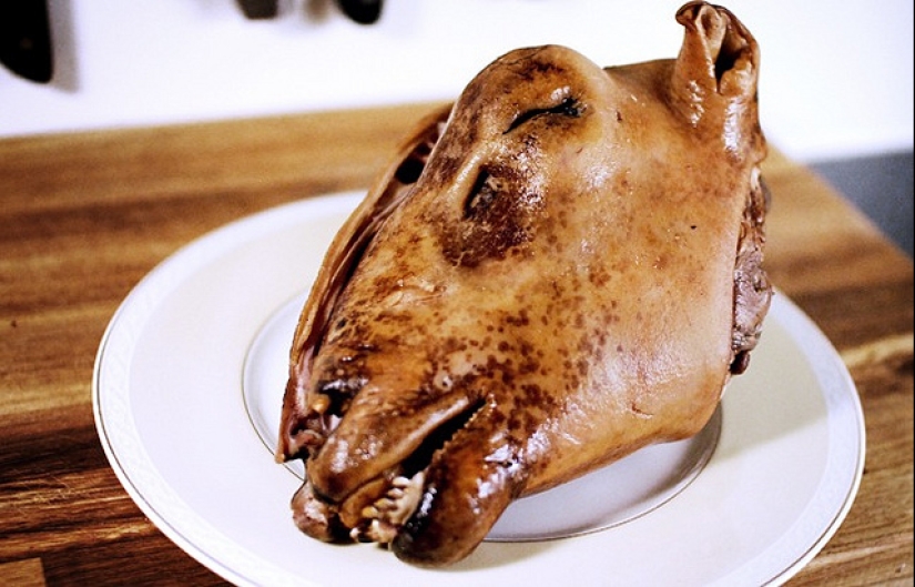 Delicias exóticas que son difíciles de comer sin cerrar los ojos Delicias exóticas que son difíciles de comer sin cerrar los ojos