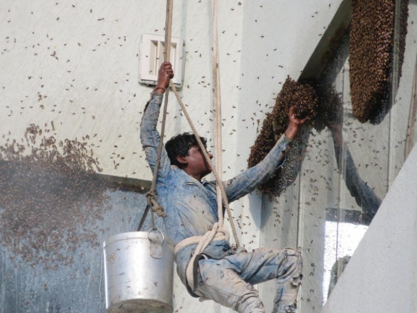 Demencia y coraje: 20 fotos de personas que no saben lo que es el miedo Demencia y coraje: 20 fotos de personas que no saben lo que es el miedo