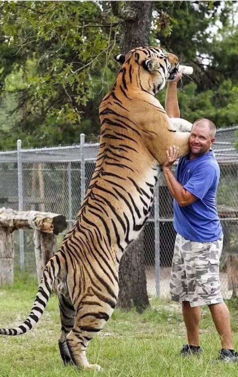 Demencia y coraje: 20 fotos de personas que no saben lo que es el miedo Demencia y coraje: 20 fotos de personas que no saben lo que es el miedo