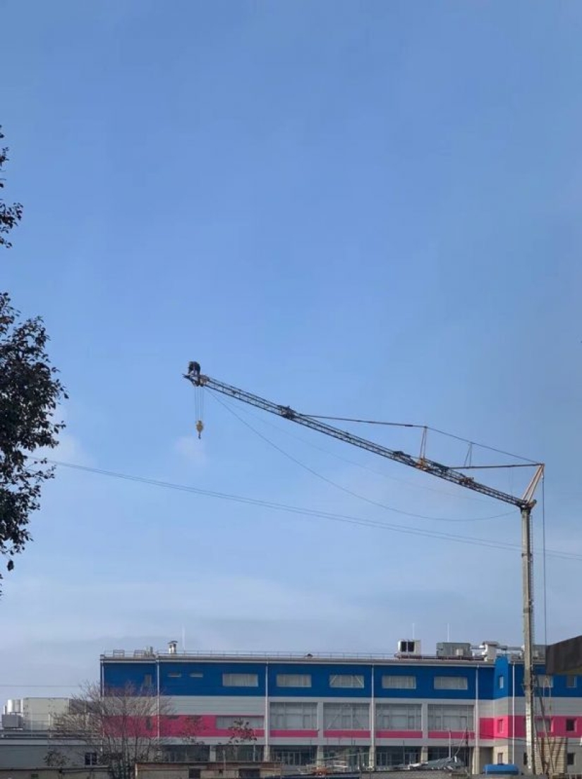 Demencia y coraje: 20 fotos de personas que no saben lo que es el miedo Demencia y coraje: 20 fotos de personas que no saben lo que es el miedo