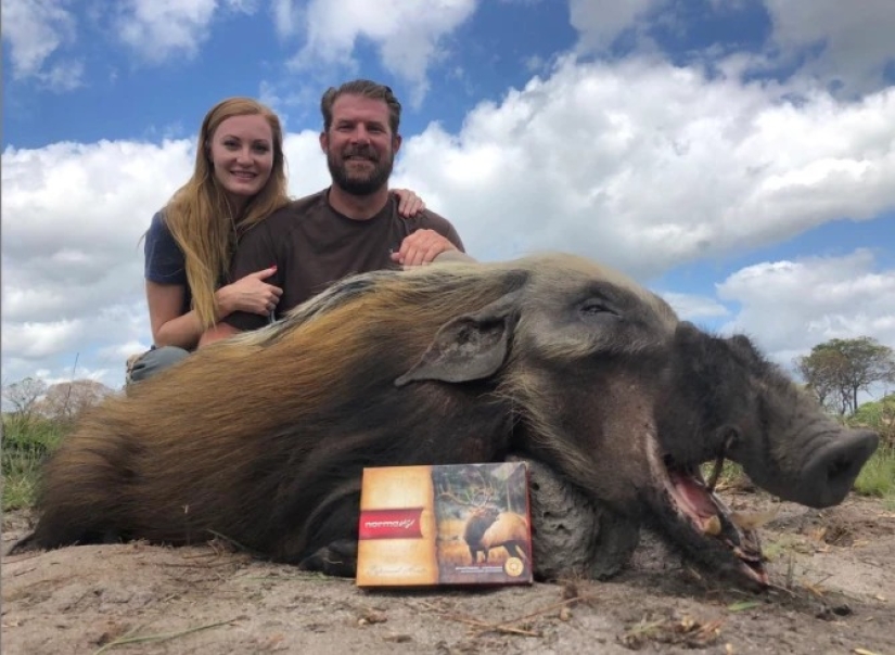 Depredador: el Estadounidense hunter hablar abiertamente acerca de su sangriento Aficiones