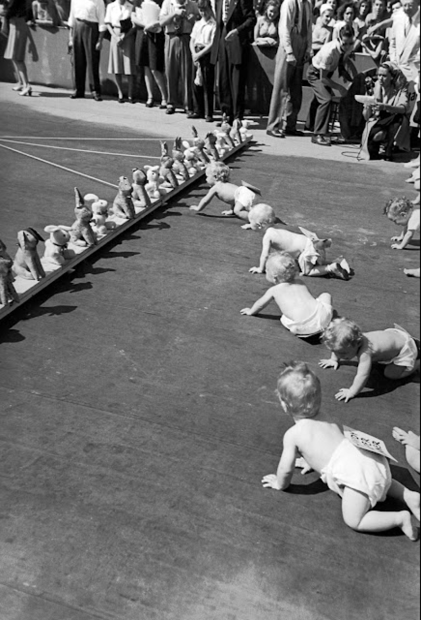 Derby in diapers: how were the retro races of crawling babies Derby in diapers: how were the retro races of crawling babies