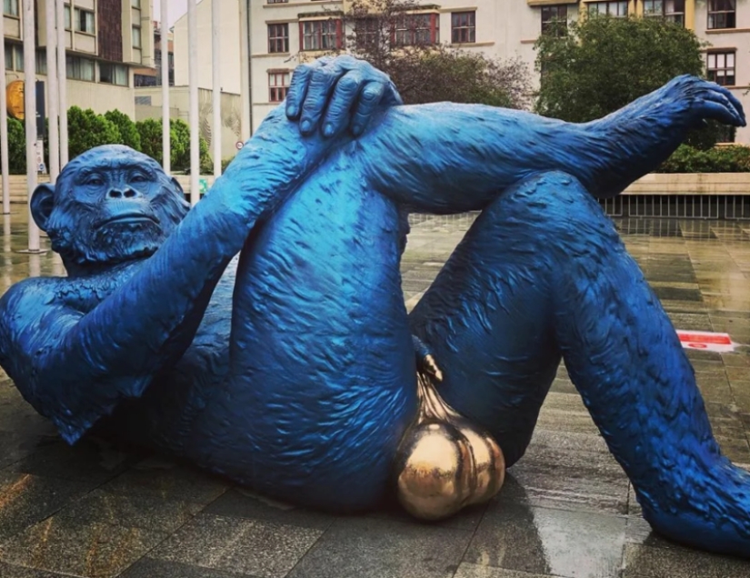 "Desgastado por los agujeros": vistas que se destruyen sin piedad " para la buena suerte" "Desgastado por los agujeros": vistas que se destruyen sin piedad " para la buena suerte"