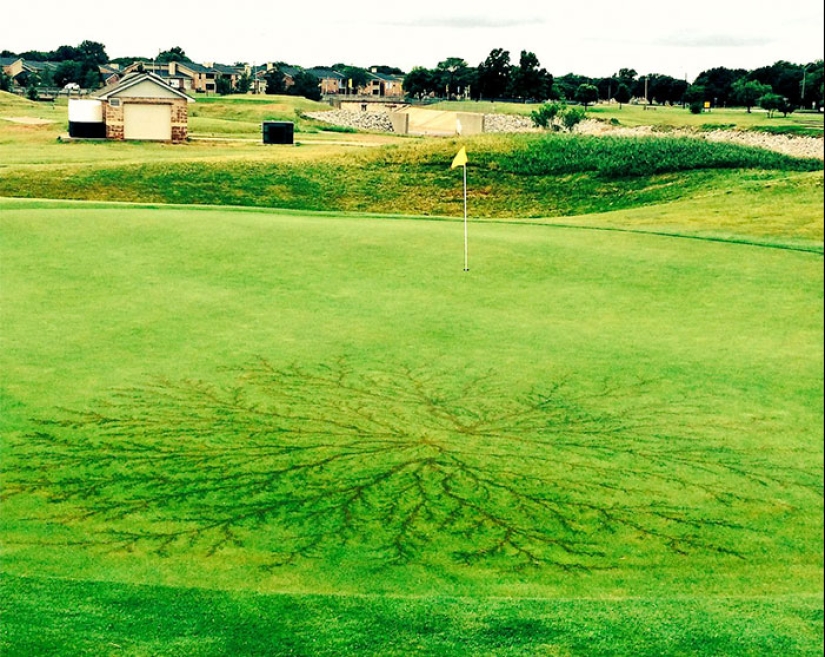 Después de la descarga: ¿qué le sucede a un hombre que fue alcanzado por un rayo