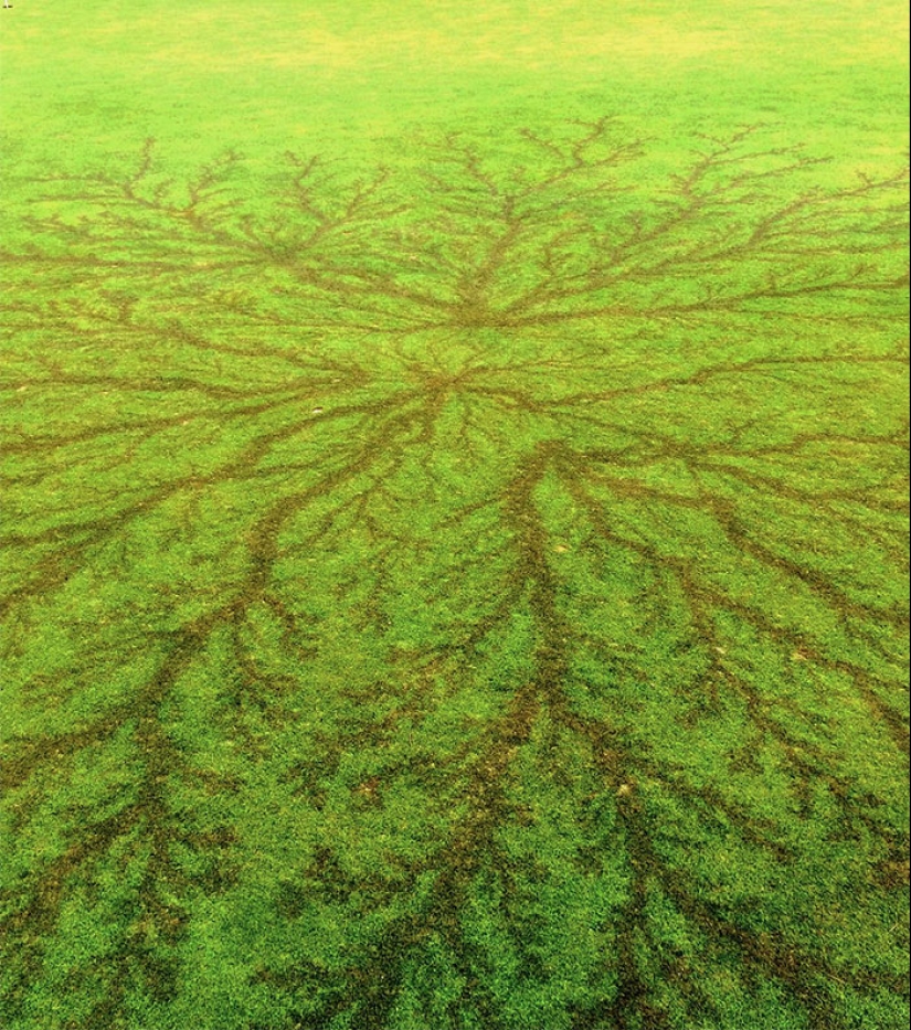 Después de la descarga: ¿qué le sucede a un hombre que fue alcanzado por un rayo