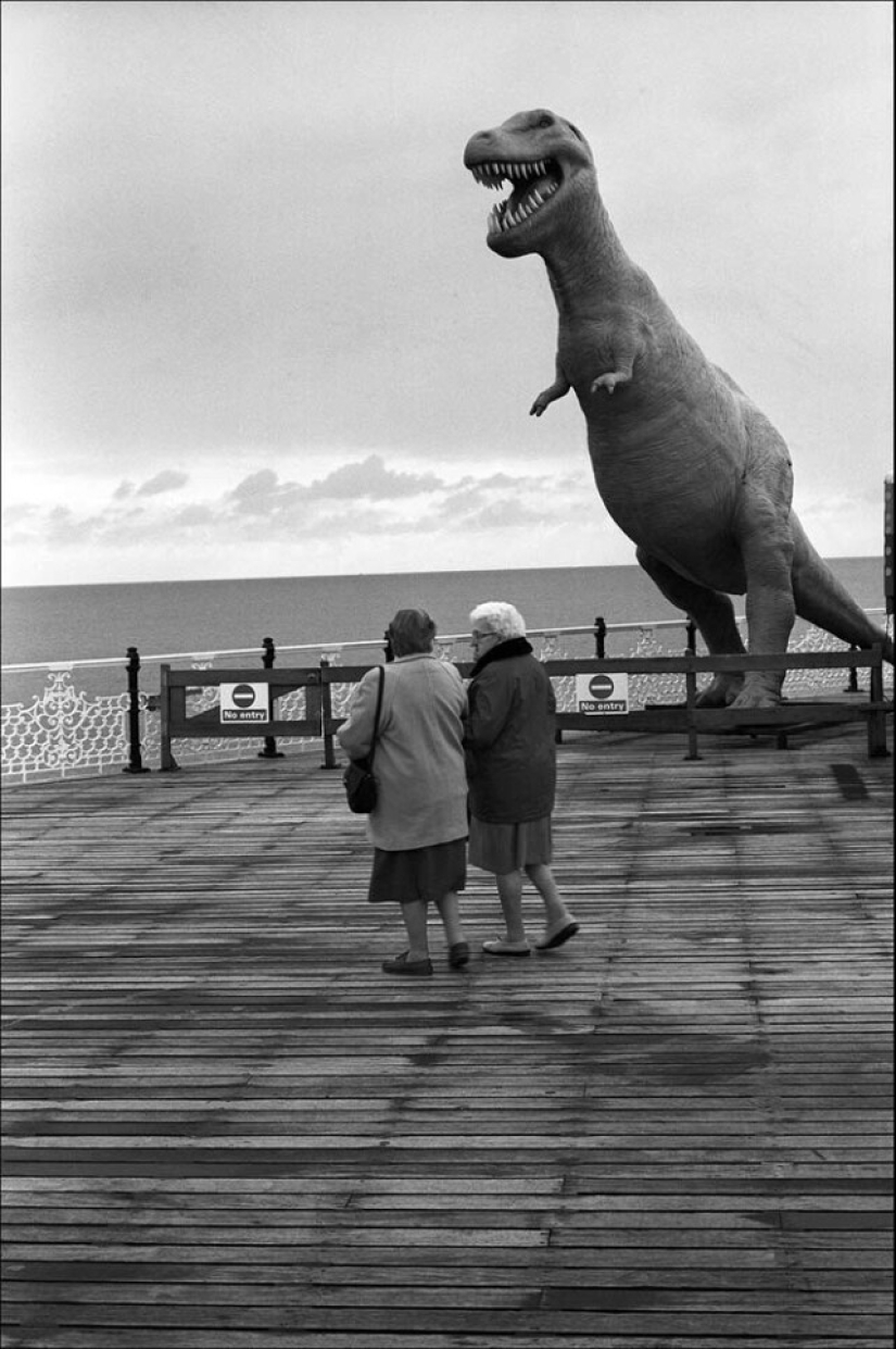 "Diario visual" del fotógrafo callejero David Gibson "Diario visual" del fotógrafo callejero David Gibson