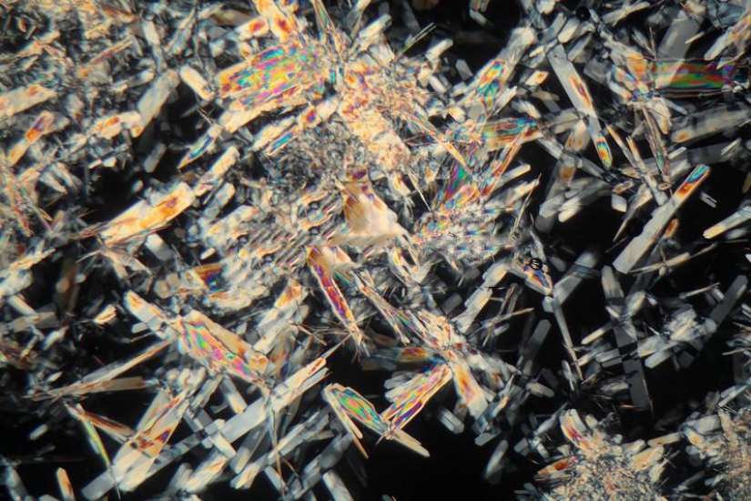 Dicen los expertos: 4 signos evidentes de miel falsa Dicen los expertos: 4 signos evidentes de miel falsa