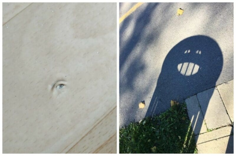 Did it seem or not? 22 photos of things that are very similar to other things Did it seem or not? 22 photos of things that are very similar to other things