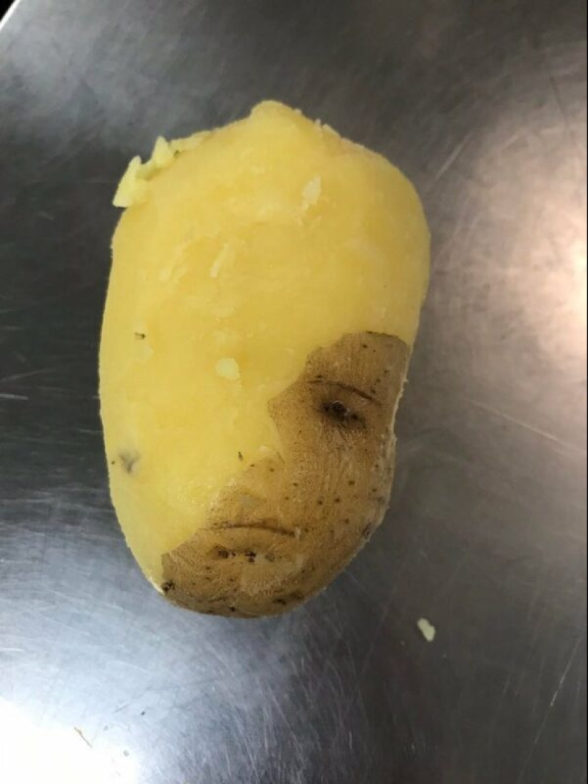 Did it seem or not? 22 photos of things that are very similar to other things Did it seem or not? 22 photos of things that are very similar to other things