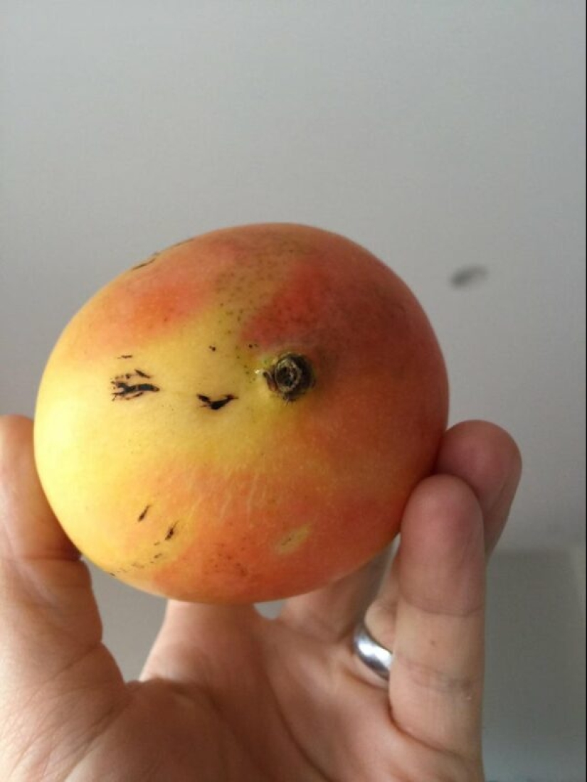 Did it seem or not? 22 photos of things that are very similar to other things Did it seem or not? 22 photos of things that are very similar to other things