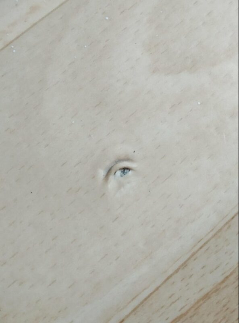 Did it seem or not? 22 photos of things that are very similar to other things Did it seem or not? 22 photos of things that are very similar to other things