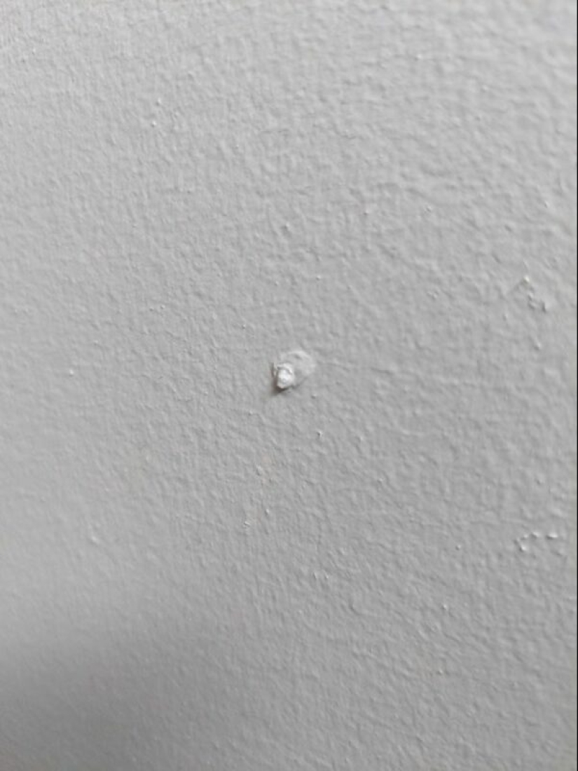 Did it seem or not? 22 photos of things that are very similar to other things Did it seem or not? 22 photos of things that are very similar to other things