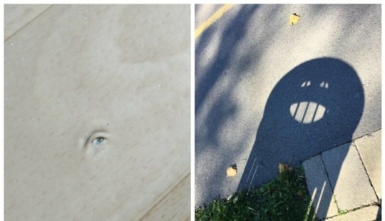 Did it seem or not? 22 photos of things that are very similar to other things