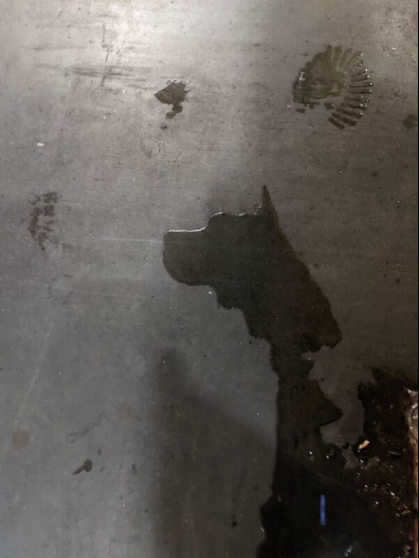 Did it seem or not? 22 photos of things that are very similar to other things Did it seem or not? 22 photos of things that are very similar to other things