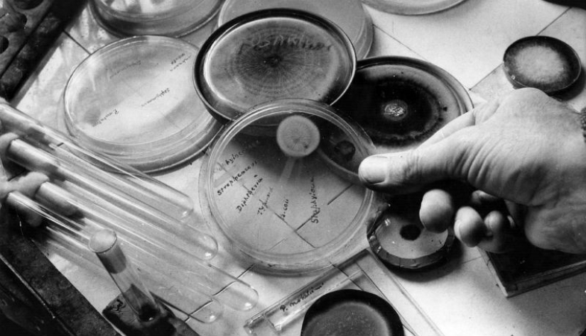 Diez descubrimientos científicos que sucedieron por accidente Diez descubrimientos científicos que sucedieron por accidente