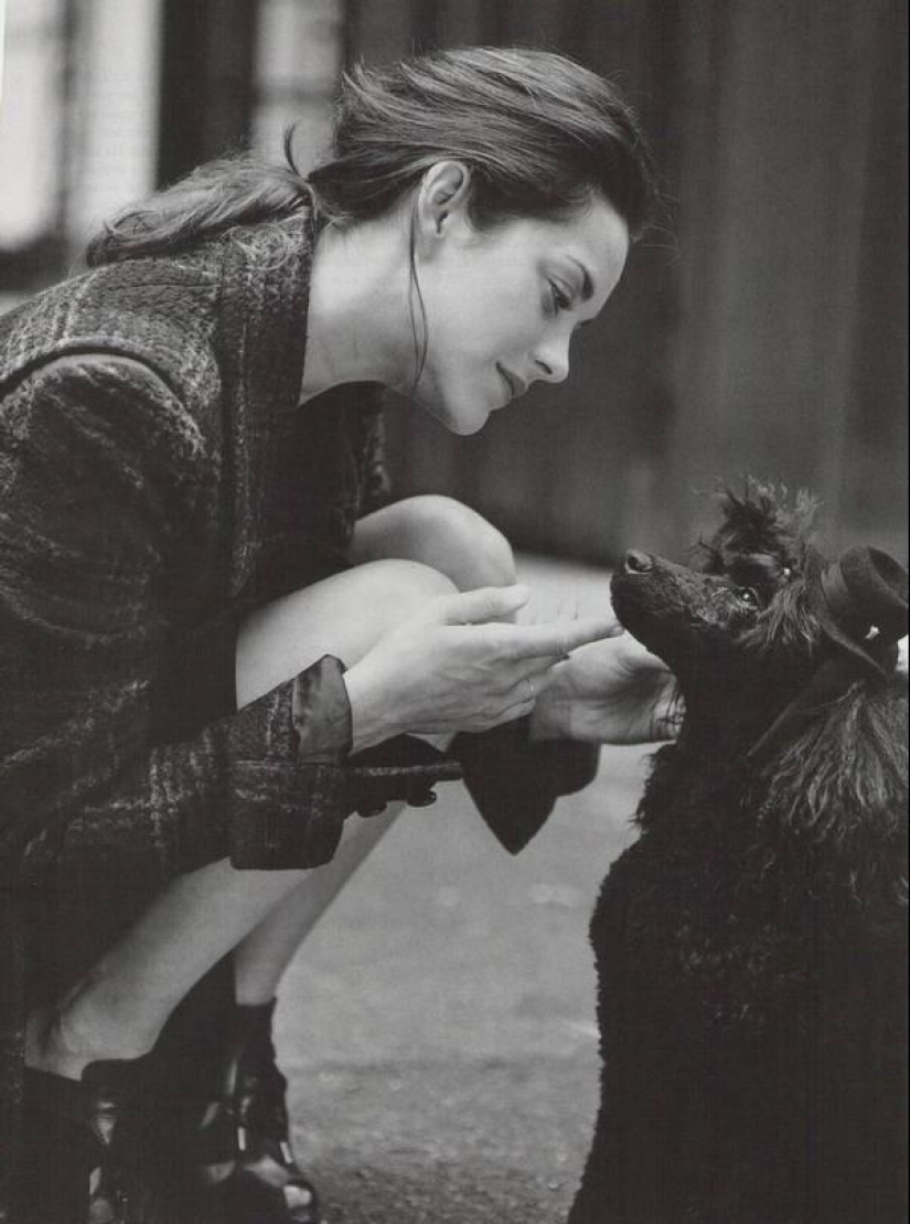 "Dios creó a Adán, pero Bruce Weber le dio un cuerpo": gente hermosa en las obras del famoso fotógrafo "Dios creó a Adán, pero Bruce Weber le dio un cuerpo": gente hermosa en las obras del famoso fotógrafo