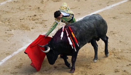 Do bulls react to the color red?