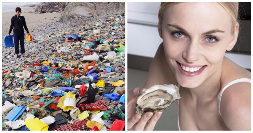 Do you like seafood? Then you regularly eat plastic Do you like seafood? Then you regularly eat plastic