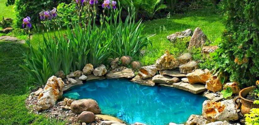 Dog in exchange for weed: drug dealers told about the strangest drug deals Dog in exchange for weed: drug dealers told about the strangest drug deals