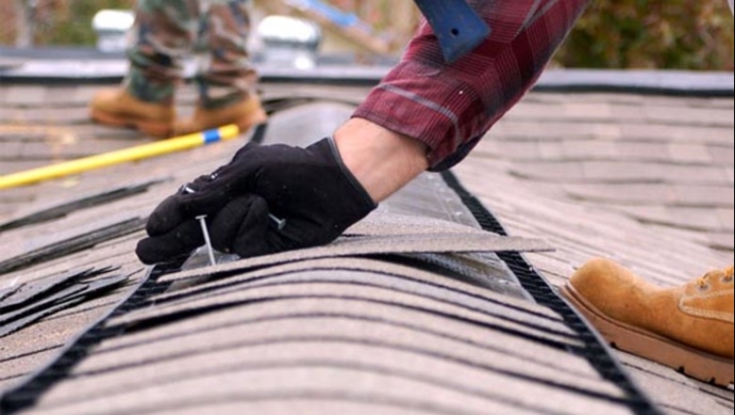 Dog in exchange for weed: drug dealers told about the strangest drug deals Dog in exchange for weed: drug dealers told about the strangest drug deals