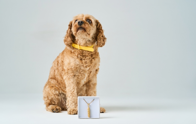 Dog poop turned into stylish gold jewelry